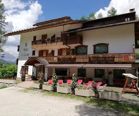 Il Cardo San Vito di Cadore