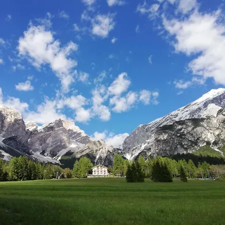 Il Cardo