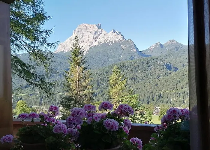 Il Cardo
