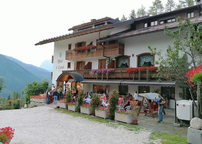 Il Cardo 3*