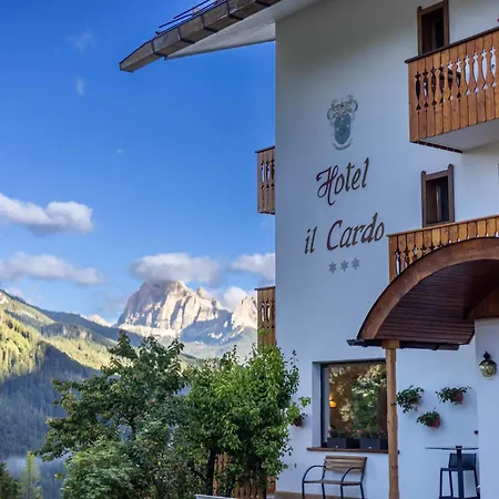 Il Cardo San Vito di Cadore