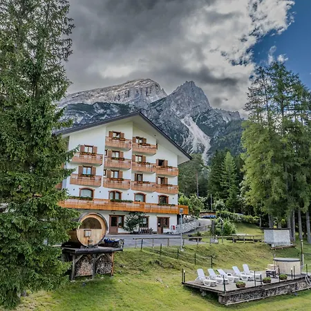Il Cardo San Vito di Cadore