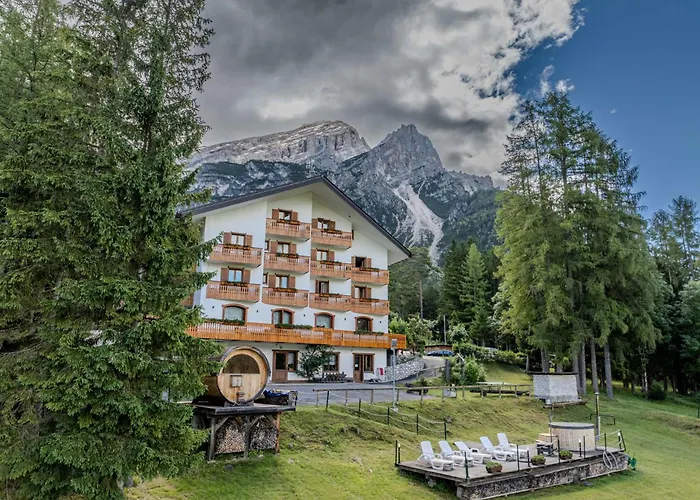 Il Cardo San Vito di Cadore