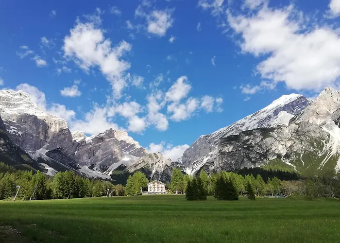 Il Cardo